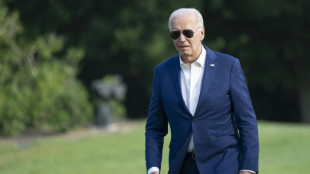 Biden d&eacute;fie les d&eacute;mocrates de torpiller sa candidature
