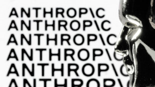 US judge suspends govt sanctions on AI company Anthropic