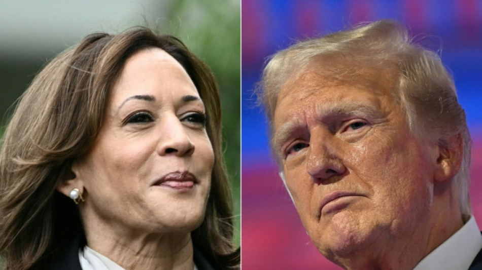 Duel par meetings interpos&eacute;s entre Kamala Harris et Donald Trump