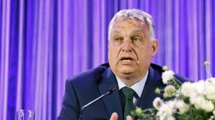 L'eurosceptique Hongrie d'Orban prend la pr&eacute;sidence de l'UE