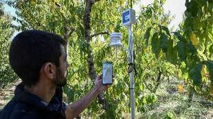 Tecnolog&iacute;a de agricultura inteligente brinda esperanza a Grecia