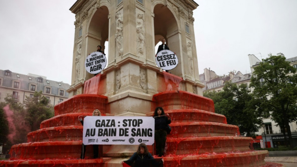 Hilfsorganisationen prangern in Paris "V&ouml;lkermord" im Gazastreifen an