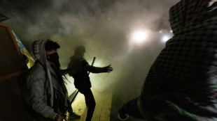 Mobilisation en soutien &agrave; Gaza: affrontements sur un campus de Los Angeles