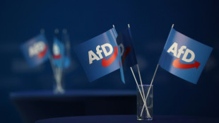 Gerichtsbeschluss: AfD in Schleswig-Holstein darf Schloss f&uuml;r Vortrag nutzen