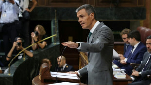 Pedro S&aacute;nchez advierte sobre posible efecto "devastador" de la IA si no se regula