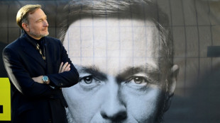 Heckenschere statt Kettens&auml;ge: Lindner relativiert sein Lob f&uuml;r Musk und Milei