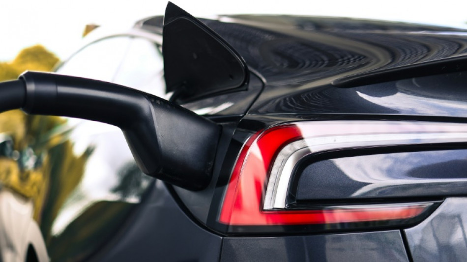 Kfz-Gewerbe: Eigenzulassungen von Herstellern und Händlern verdecken E-Auto-Flaute