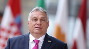 Orban au Parlement europ&eacute;en, feux d'artifice en vue 