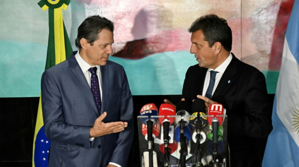 Brasil acuerda con Argentina financiamiento para exportaciones por 600 millones de d&oacute;lares