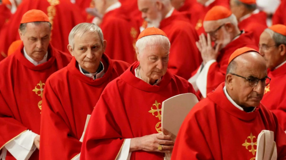 Fern&aacute;ndez Artime, uma op&ccedil;&atilde;o de continuidade do papa Francisco