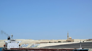 Studie: Seeweg über das Rote Meer besonders wichtig für Deutschland