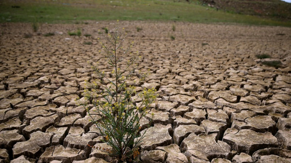 Le G7 sous pression pour muscler son action face &agrave; l'urgence climatique 