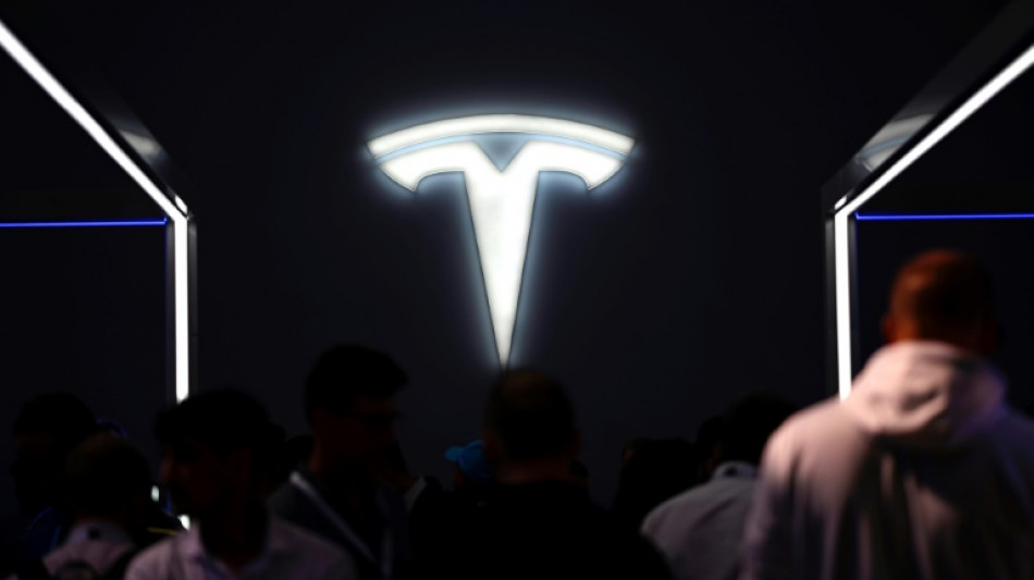 Angriffe im Roten Meer: Tesla muss Produktion in Gr&uuml;nheide vor&uuml;bergehend stoppen