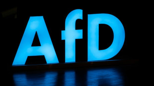 Initiatoren von AfD-Verbotsantrag wollen neuen Anlauf im n&auml;chsten Bundestag nehmen