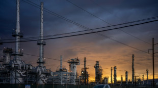 Fuerte alza de las reservas de petr&oacute;leo de EEUU en una semana (12 millones de barriles)