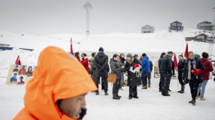 Left-wing party pulls ahead in Greenland municipal elections