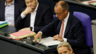 "CDU-Umfallerei in Serie": Weidel wirft Merz mangelnden Reformwillen vor