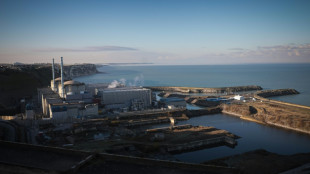 Nucl&eacute;aire: l'Elys&eacute;e vise d&eacute;sormais 2038 pour la mise en service du premier r&eacute;acteur EPR2