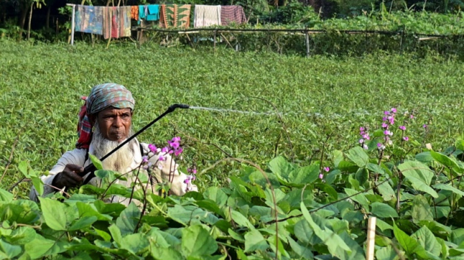 El FMI concede 4.500 millones de d&oacute;lares de ayuda a Banglad&eacute;s