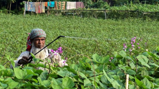 El FMI concede 4.500 millones de d&oacute;lares de ayuda a Banglad&eacute;s