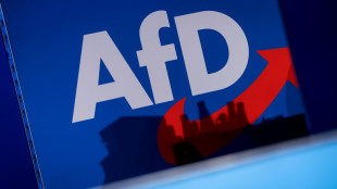 Weiter Widerstand gegen wichtige Posten f&uuml;r AfD im Bundestag