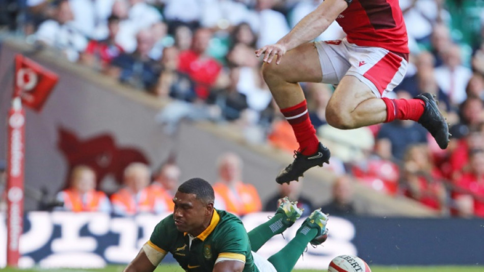 Rugby: l'Afrique du Sud bien vite acclimat&eacute;e &agrave; l'Europe