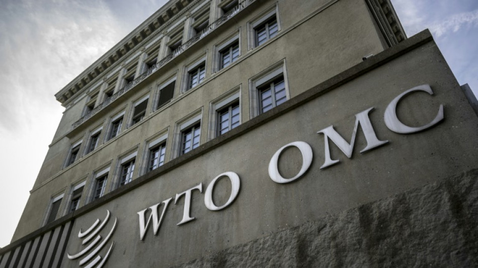 WTO must reform, 'status quo is not an option': chief