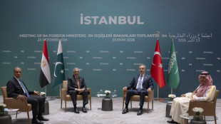 Iran : huit pays d'Europe et du Moyen-Orient plaident pour la paix &agrave; Istanbul