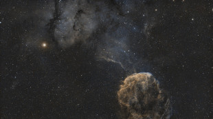 Vista per la prima la struttura di una stella morente