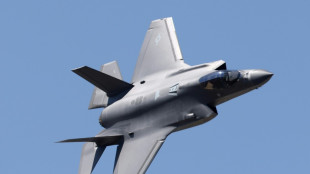 Missing F-35 fighter parts 'not sensitive', says Australia minister