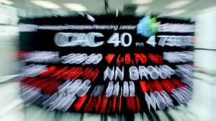 La Bourse de Paris l&acirc;che du lest, sous une pluie de r&eacute;sultats