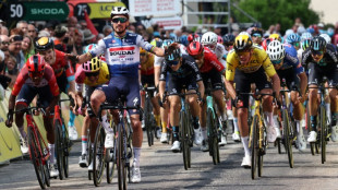 Cyclisme: Alaphilippe, couleurs retrouv&eacute;es, &agrave; la chasse au bleu-blanc-rouge