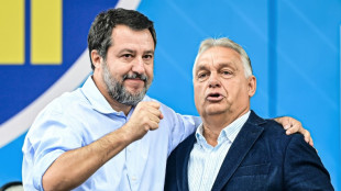 Salvini et Orban attaquent Bruxelles, qualifi&eacute;e d'"&eacute;coterroriste" et "bureaucratique"