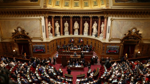 Immigration: le S&eacute;nat commence &agrave; durcir un projet de loi volcanique