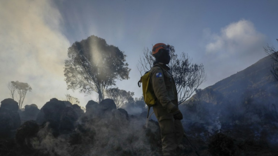 La destruction des forêts tropicales à un niveau record, sous l'effet des incendies