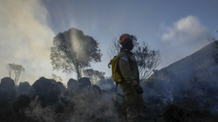 La destruction des forêts tropicales à un niveau record, sous l'effet des incendies