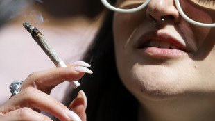 Cuore, 'con la cannabis aumento rischio infarto fino a 6 volte e ictus fino al 40%'