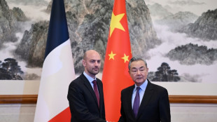 France FM urges closer ties with China in the face of 'crises'
