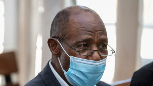 Rwanda: Paul Rusesabagina, h&eacute;ros hollywoodien condamn&eacute; pour "terrorisme"