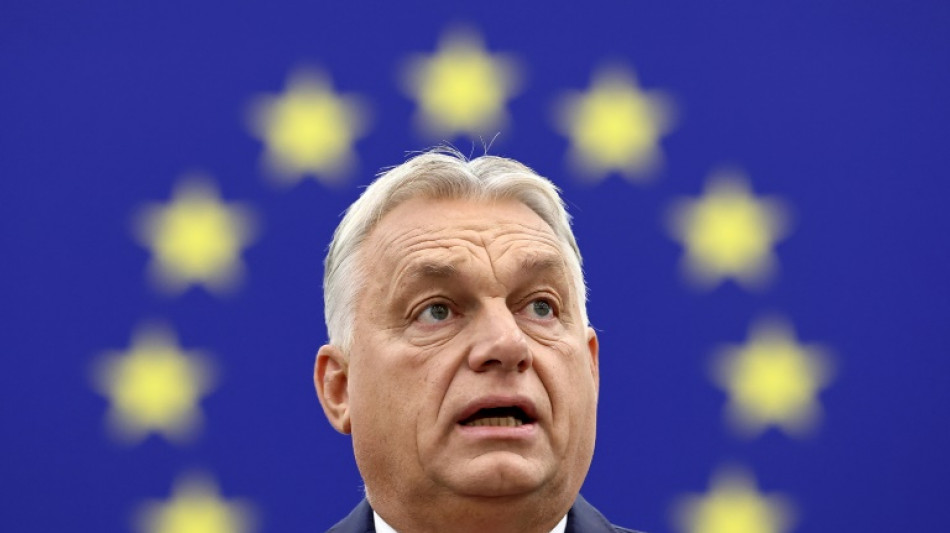 "Propagande", "autocrate": le Parlement europ&eacute;en ferraille avec Orban