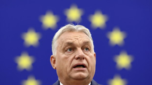 "Propagande", "autocrate": le Parlement europ&eacute;en ferraille avec Orban