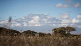 Incendio en el monte Kilimanjaro est&aacute; "controlado", seg&uacute;n autoridades de Tanzania