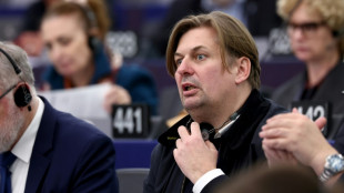 Le parti d'extr&ecirc;me droite allemand AfD mis sur la touche au Parlement europ&eacute;en
