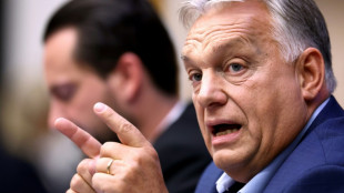A Strasbourg, Orban temp&ecirc;te contre les "&eacute;lites europ&eacute;ennes" 