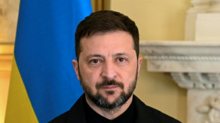 Ukrainischer Pr&auml;sident Selenskyj spricht vor Europarat