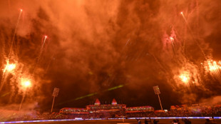 Pollution forces India to ban firework displays at Cricket World Cup