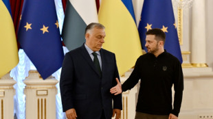 A Kiev, Orban r&eacute;clame &agrave; Zelensky un "cessez-le-feu" avec la Russie