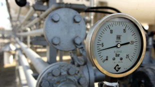 Il prezzo del gas in avvio sale e punta i 29 euro