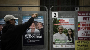 L&eacute;gislatives: apr&egrave;s les d&eacute;p&ocirc;ts et les d&eacute;sistements, la campagne dans sa ligne droite finale