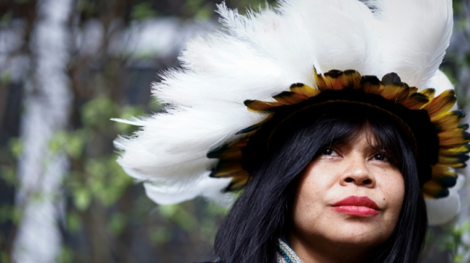 Ind&iacute;genas e ativistas brasileiros pedem inclus&atilde;o do Cerrado na regula&ccedil;&atilde;o da UE